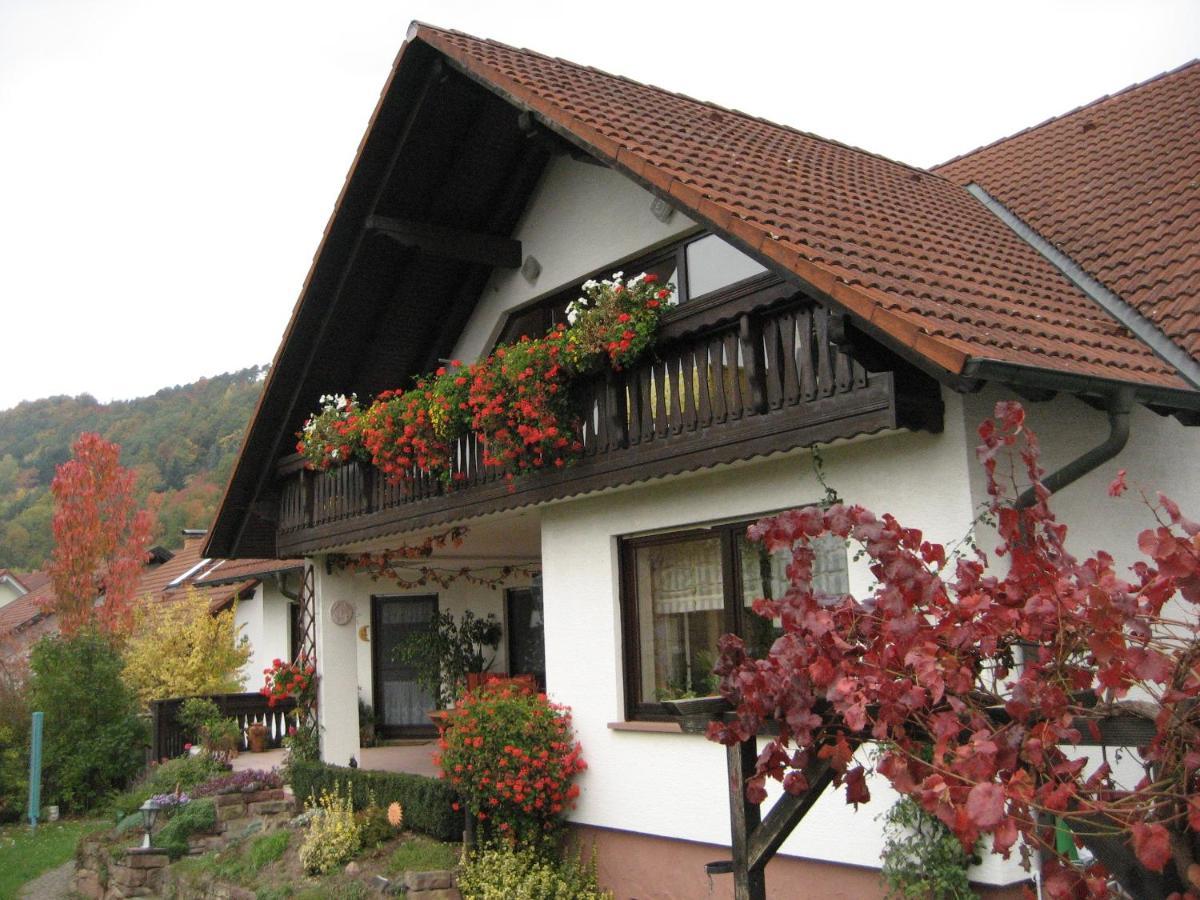 Ferienwohnungen Haus Albert Großheubach 外观 照片