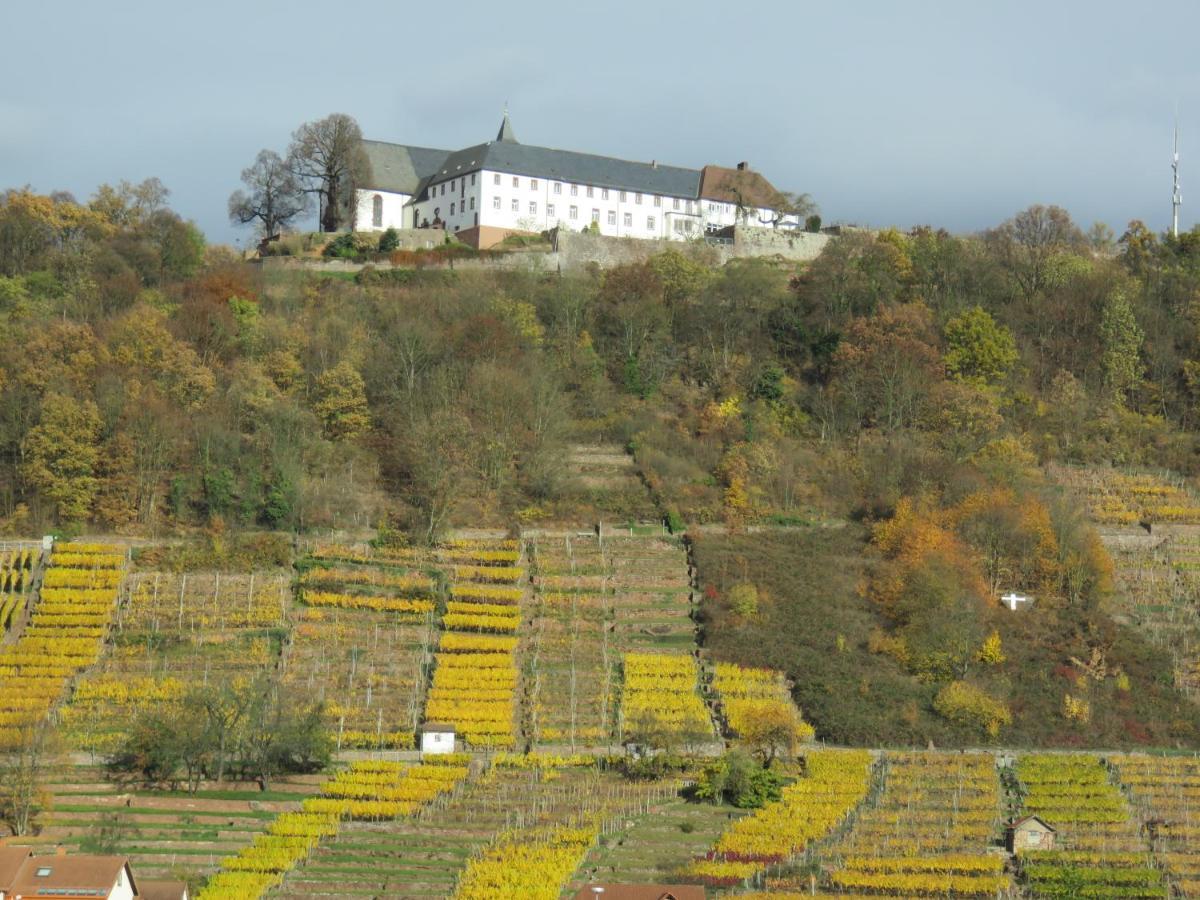 Ferienwohnungen Haus Albert Großheubach 外观 照片