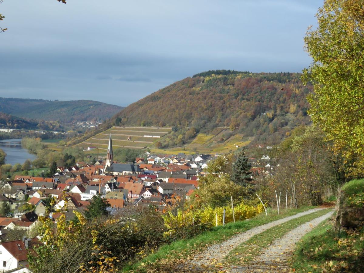 Ferienwohnungen Haus Albert Großheubach 外观 照片